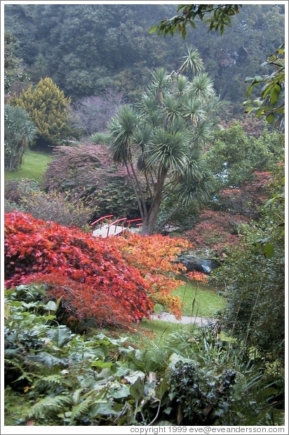 Japanese garden.