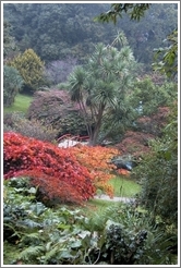 Japanese garden.