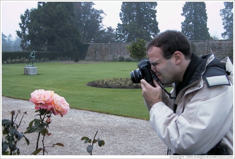 Philip Greenspun photographing a rose.
