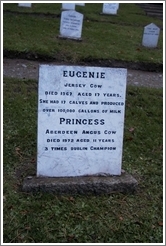 Cow tombstone in the Pet Cemetery.