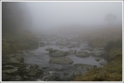 Foggy river in the Wicklow Mountains