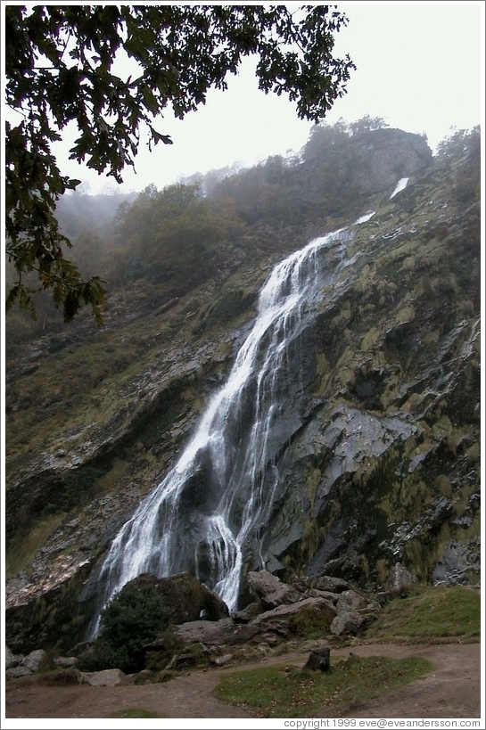 Powerscourt Waterfall -- the highest waterfall in Ireland.