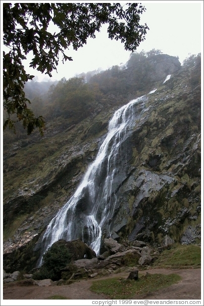 Powerscourt Waterfall -- the highest waterfall in Ireland.