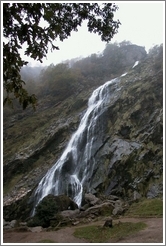 Powerscourt Waterfall -- the highest waterfall in Ireland.