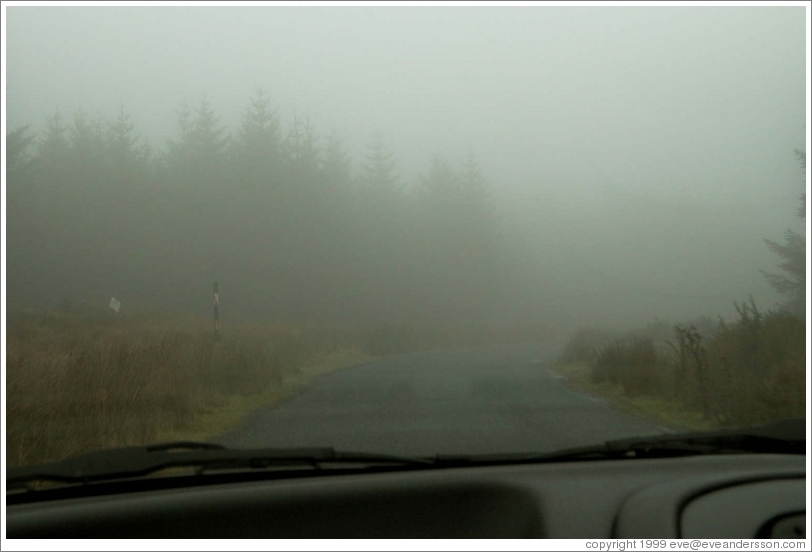 Foggy road.