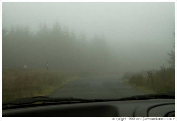 Foggy road.