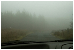 Foggy road.