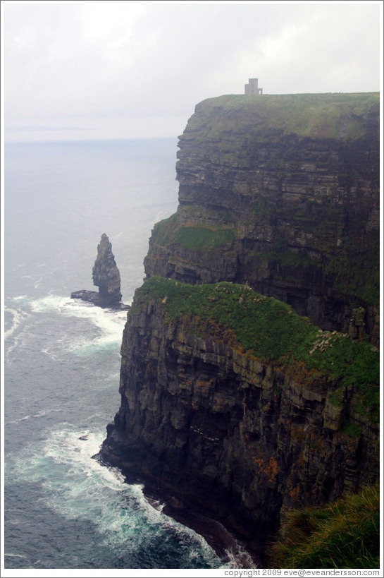 Cliffs of Moher, with O'Brian's Tower on top.