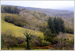 View from the N67 road.