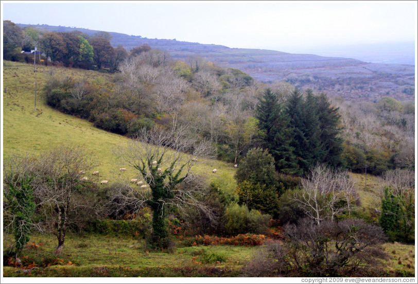 View from the N67 road.