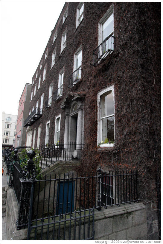 Vine-covered building.  St. Stephens Green North.