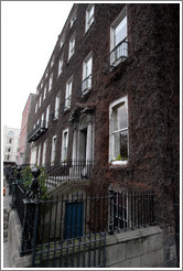 Vine-covered building.  St. Stephens Green North.