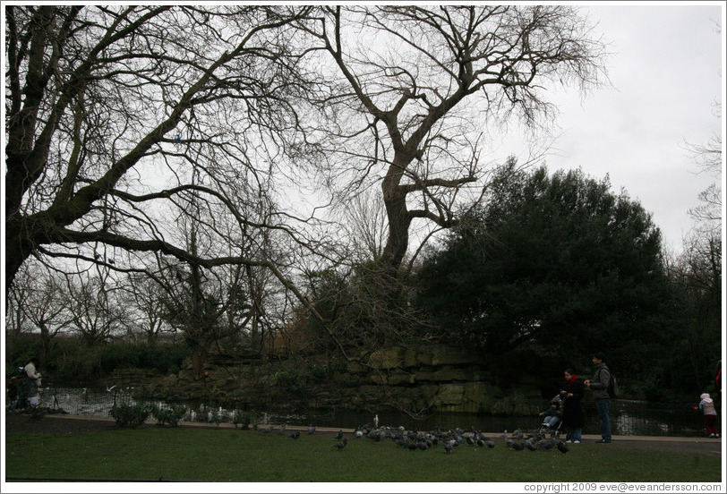 Family feeding pigeons.  St. Stephens Green.