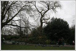 Family feeding pigeons.  St. Stephens Green.