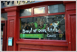 Guinness, born of our land.  Temple Bar.