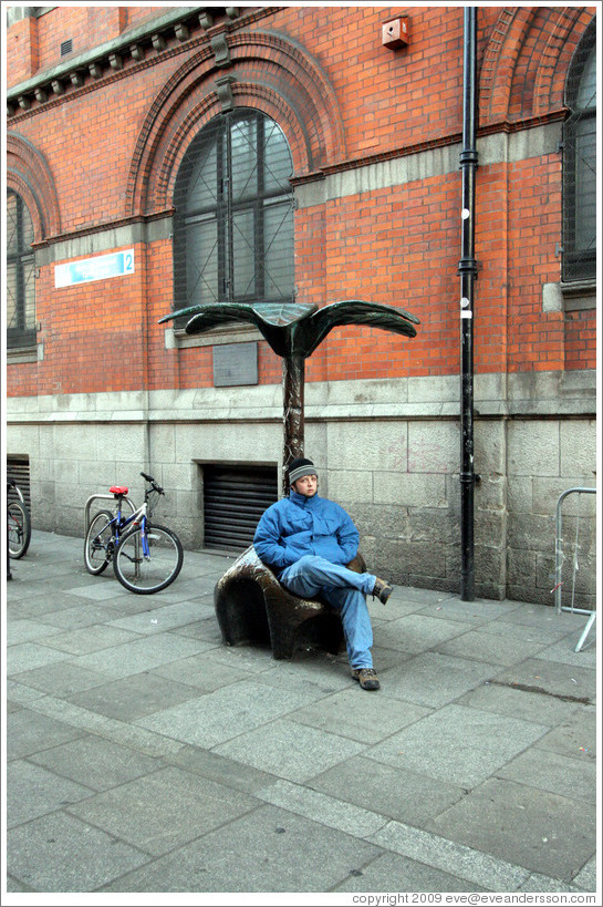 Palm bench. Temple Bar.