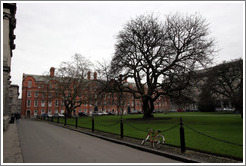 Library Square.  Trinity College.