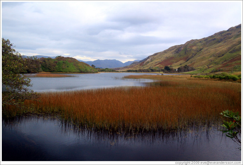 Connemara region of Ireland's west coast.