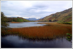 Connemara region of Ireland's west coast.