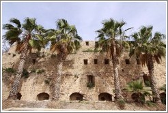 Wall and palm trees, Akko Citadel, old town Akko.