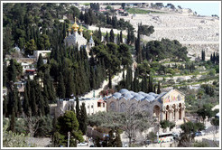 Church of All Nations and Church of St. Mary Magdalene, Mount of Olives.  Viewed from the Yeusefiya cemetery, Jerusalem.