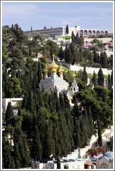 Church of St. Mary Magdalene, Mount of Olives.  Viewed from the Yeusefiya cemetery, Jerusalem.