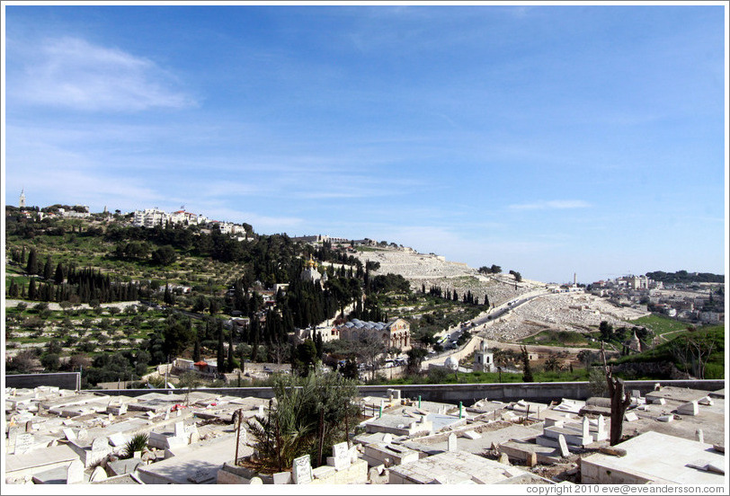 Mount of Olives, viewed from the Yeusefiya cemetery, Jerusalem.