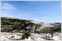 Mount of Olives, viewed from the Yeusefiya cemetery, Jerusalem.