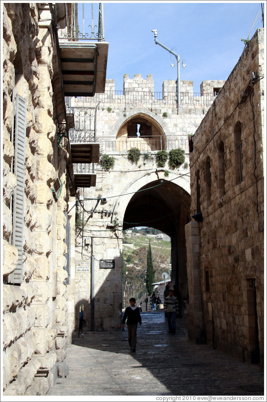 The Lions' Gate, Muslim Quarter, Old City of Jerusalem.