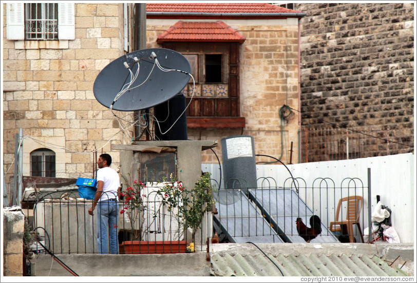 Man and rooster on a roof, viewed from the Austrian Hospice of the Holy Family.