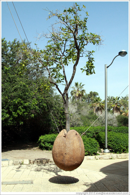 Tree growing from a concrete seed, Artists' Quarter, Old Jaffa.