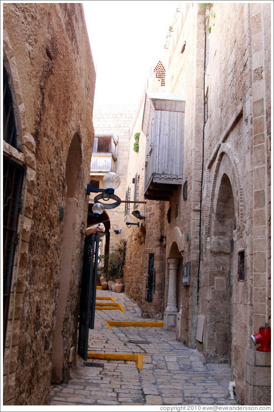 Mazal Dagim, Old Jaffa.