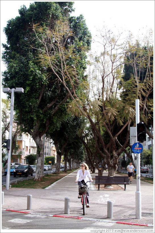 Bicyclist, Rothschild Boulevard.