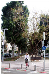 Bicyclist, Rothschild Boulevard.