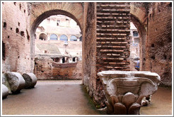 Arches and the top of an Ionic column.  The Colosseum.