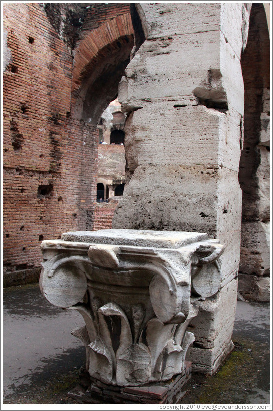 The top of an Ionic column.  The Colosseum.