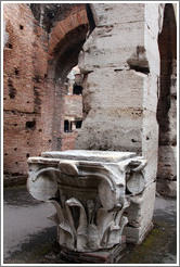 The top of an Ionic column.  The Colosseum.