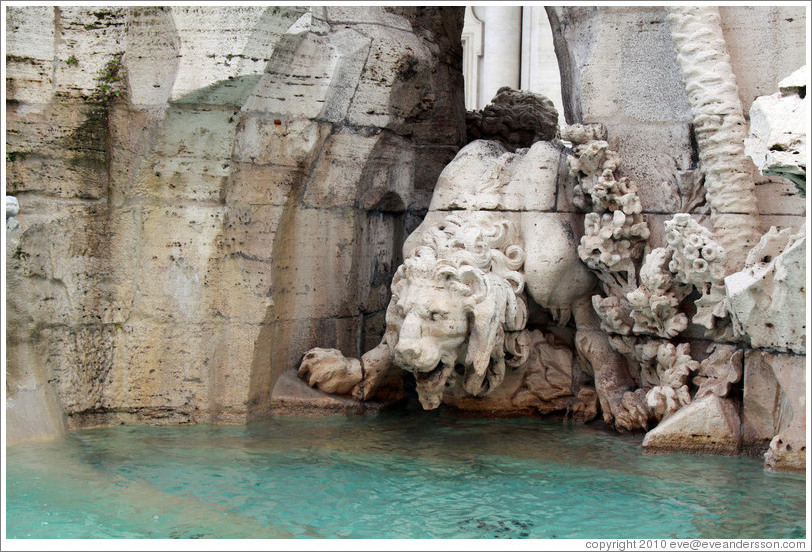 Lion drinking, Fontana dei Quattro Fiumi (Fountain of the Four Rivers), Piazza Navona.