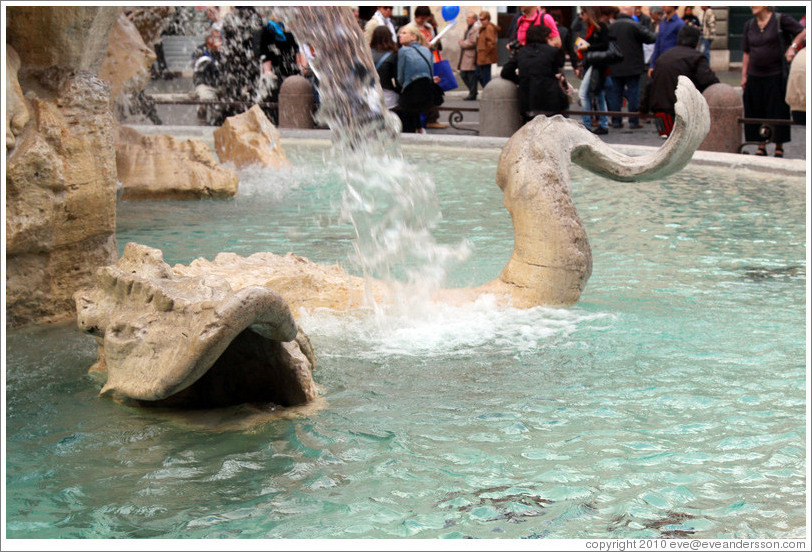 Sea monster, Fontana dei Quattro Fiumi (Fountain of the Four Rivers), Piazza Navona.