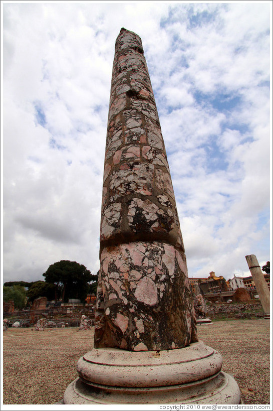 Pink marble column, Basilica Aemilia, Roman Forum.