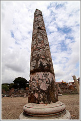 Pink marble column, Basilica Aemilia, Roman Forum.