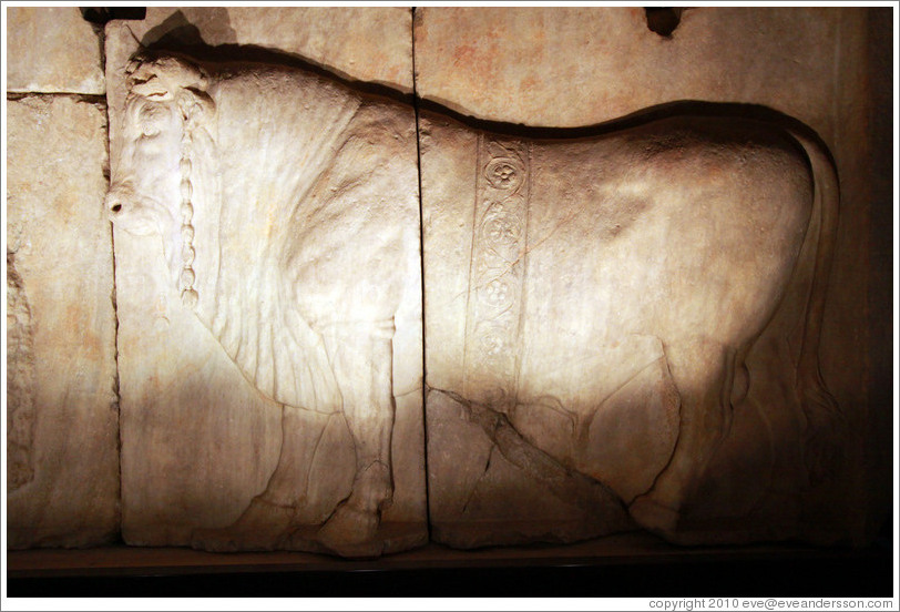 Bull, Plutei of Trajan, Basilica Aemilia, Roman Forum.