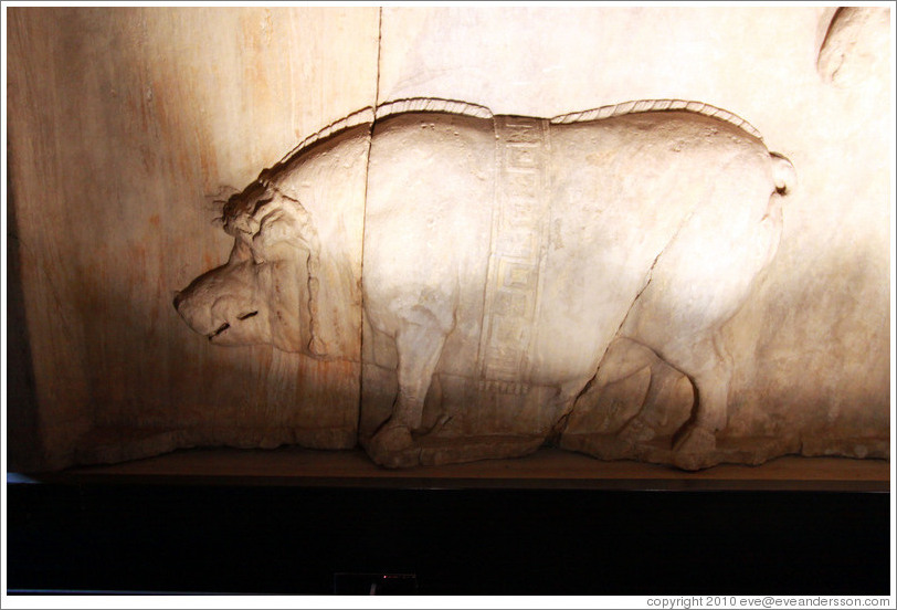 Pig, Plutei of Trajan, Basilica Aemilia, Roman Forum.