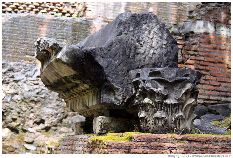 Charred stone and Corinthian column, Roman Forum.