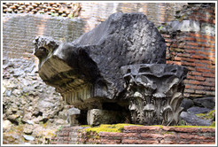 Charred stone and Corinthian column, Roman Forum.