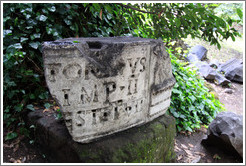 Charred, engraved stone, Roman Forum.