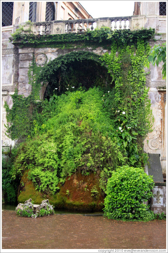 Fishpond, with moss-covered fountain, Palatine Hill.