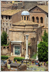 Tempio di Romolo (Romulus' Temple), Roman Forum.