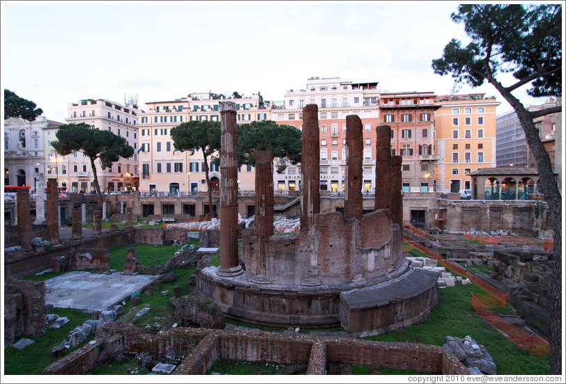 Ruins of Temple B, Largo di Torre Argentina.