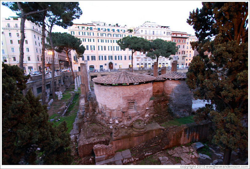 Largo di Torre Argentina.